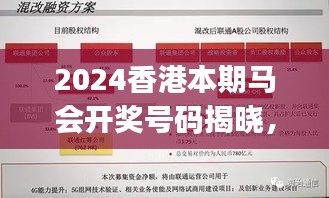 2024香港本期馬會(huì)開(kāi)獎(jiǎng)號(hào)碼揭曉，安全策略深度剖析——專(zhuān)家視角KJY655.48