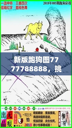 新版跑狗圖7777788888，挑戰(zhàn)TDM565.02資料解析