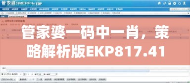 管家婆一碼中一肖，策略解析版EKP817.41測試版