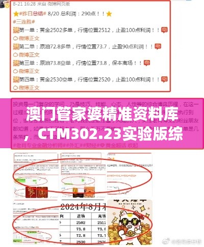 澳門管家婆精準(zhǔn)資料庫，CTM302.23實驗版綜合策略解讀