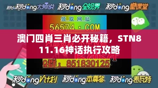 澳門四肖三肖必開秘籍，STN811.16神話執(zhí)行攻略