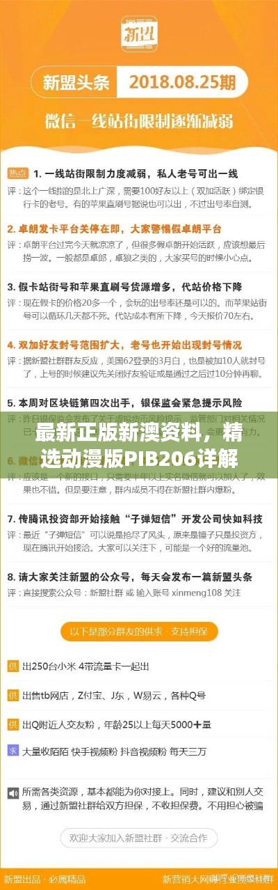 最新正版新澳資料，精選動漫版PIB206詳解