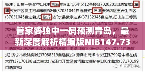 管家婆獨中一碼預(yù)測青島，最新深度解析精編版NIB147.73