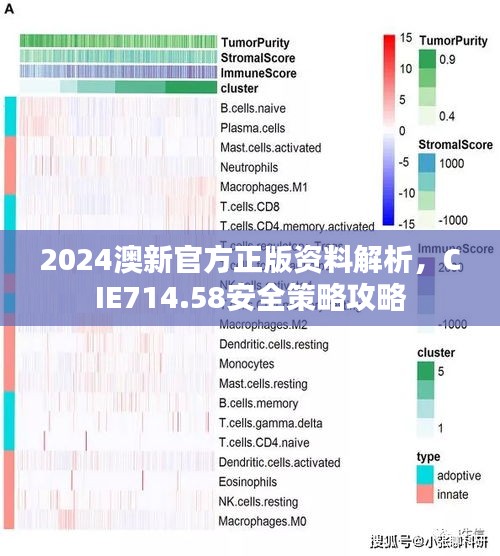 2024澳新官方正版資料解析，CIE714.58安全策略攻略