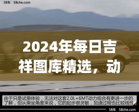 2024年每日吉祥圖庫精選，動態(tài)解讀_SXR232.69遺憾缺席