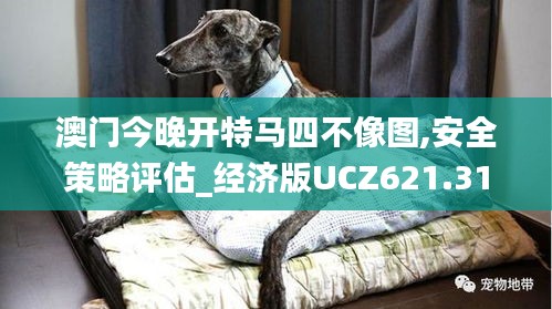 澳門今晚開特馬四不像圖,安全策略評估_經濟版UCZ621.31