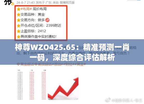 神尊WZO425.65：精準預測一肖一碼，深度綜合評估解析