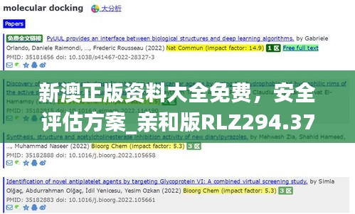 新澳正版資料大全免費(fèi)，安全評估方案_親和版RLZ294.37