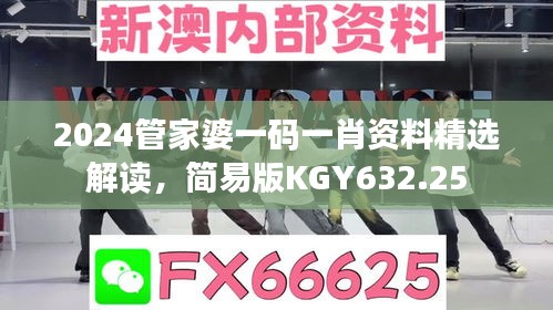 2024管家婆一碼一肖資料精選解讀，簡易版KGY632.25