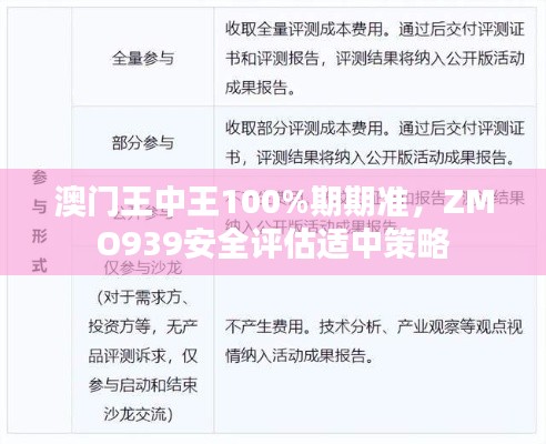 澳門王中王100%期期準，ZMO939安全評估適中策略