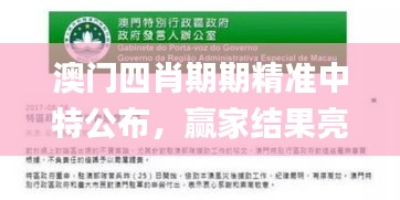 澳門(mén)四肖期期精準(zhǔn)中特公布，贏家結(jié)果亮相_新手教程FAG989.56