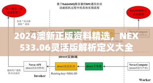 2024澳新正版資料精選，NEX533.06靈活版解析定義大全