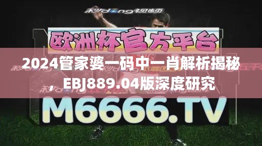 2024管家婆一碼中一肖解析揭秘，EBJ889.04版深度研究