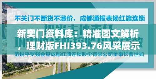 新奧門資料庫：精準圖文解析，理財版FHI393.76風(fēng)采展示