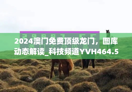 2024澳門免費頂級龍門，圖庫動態(tài)解讀_科技頻道YVH464.54