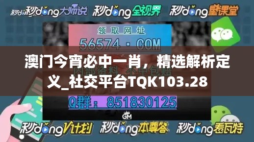 澳門今宵必中一肖，精選解析定義_社交平臺(tái)TQK103.28