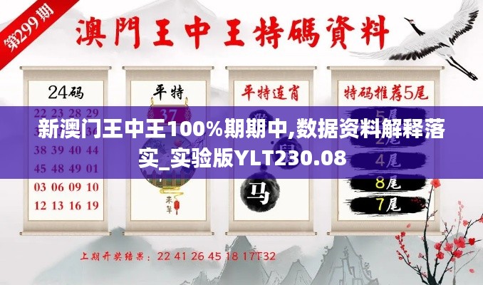 新澳門王中王100%期期中,數(shù)據(jù)資料解釋落實_實驗版YLT230.08