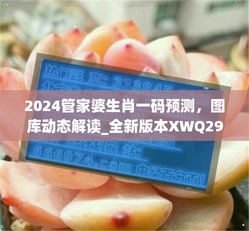 2024管家婆生肖一碼預(yù)測，圖庫動態(tài)解讀_全新版本XWQ290.47