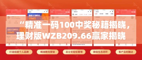 “精準一碼100中獎秘籍揭曉，理財版WZB209.66贏家揭曉”