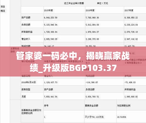 管家婆一碼必中，揭曉贏家戰(zhàn)績_升級版BGP103.37