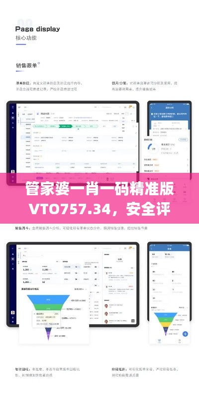 管家婆一肖一碼精準(zhǔn)版VTO757.34，安全評估策略方案_尊享付費版