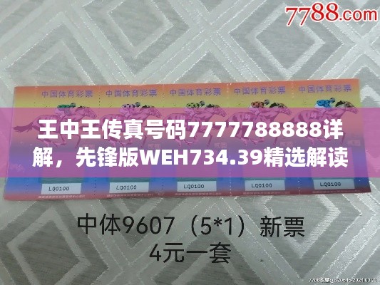 王中王傳真號碼7777788888詳解，先鋒版WEH734.39精選解讀