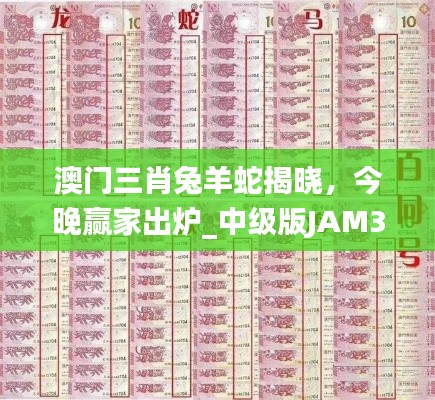 澳門三肖兔羊蛇揭曉，今晚贏家出爐_中級版JAM324.11