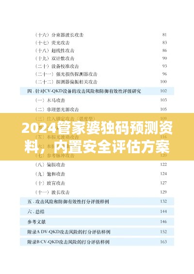 2024管家婆獨碼預測資料，內置安全評估方案DPV19.31