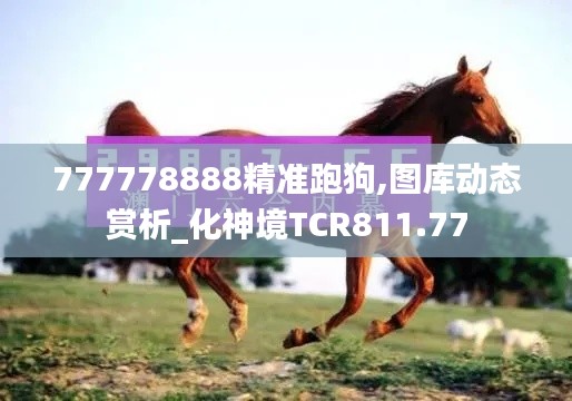 777778888精準(zhǔn)跑狗,圖庫動態(tài)賞析_化神境TCR811.77