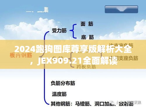 2024跑狗圖庫尊享版解析大全，JEX909.21全面解讀