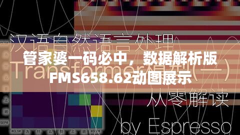 管家婆一碼必中，數(shù)據(jù)解析版FMS658.62動圖展示