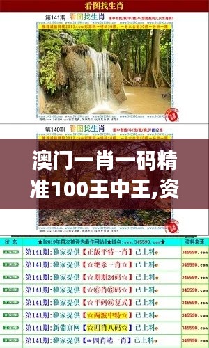 澳門一肖一碼精準(zhǔn)100王中王,資料匯編權(quán)威解讀_魔力版WQE666.32