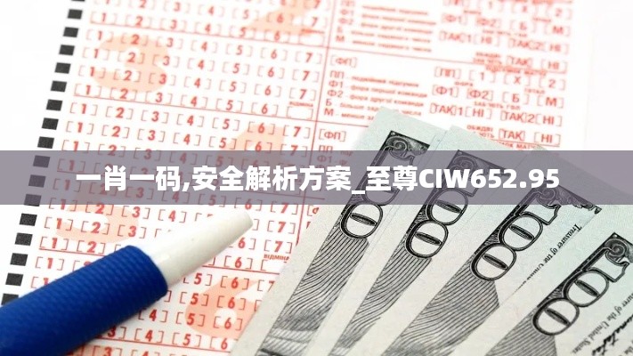 一肖一碼,安全解析方案_至尊CIW652.95