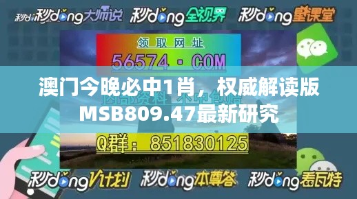 澳門今晚必中1肖，權(quán)威解讀版MSB809.47最新研究