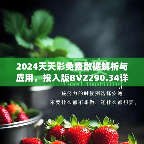 2024天天彩免費(fèi)數(shù)據(jù)解析與應(yīng)用，投入版BVZ290.34詳述