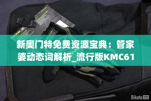 新奧門特免費資源寶典：管家婆動態(tài)詞解析_流行版KMC617.02