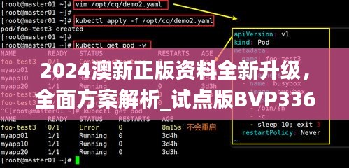 2024澳新正版資料全新升級(jí)，全面方案解析_試點(diǎn)版BVP336.32