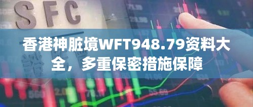 香港神臟境WFT948.79資料大全，多重保密措施保障