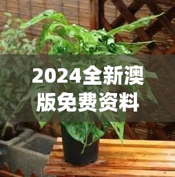 2024全新澳版免費(fèi)資料集，植物防護(hù)秘籍——九天太仙FLQ414.11