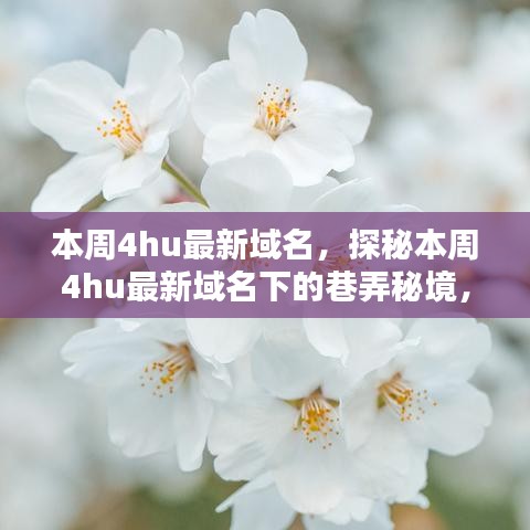 探秘本周4hu最新域名下的巷弄秘境，隱藏小店獨特環(huán)境大揭秘