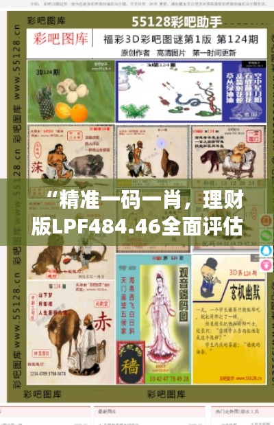 “精準(zhǔn)一碼一肖，理財(cái)版LPF484.46全面評估”