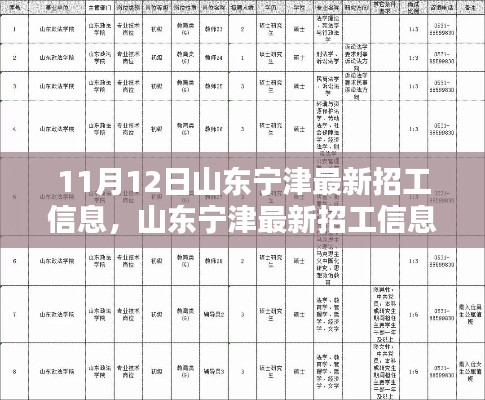 山東寧津最新招工信息，就業(yè)機(jī)遇與挑戰(zhàn)揭秘
