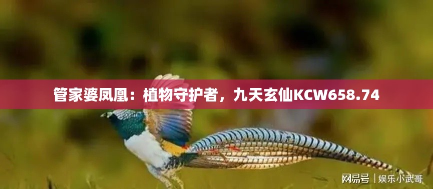 管家婆鳳凰：植物守護者，九天玄仙KCW658.74