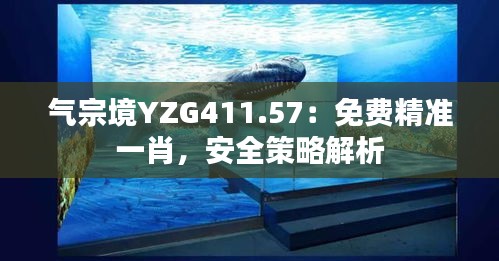 氣宗境YZG411.57：免費精準(zhǔn)一肖，安全策略解析