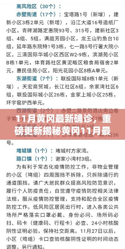 揭秘黃岡11月最新確診情況，深度解析防疫現(xiàn)狀，重要信息一覽無余