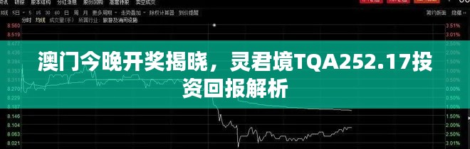 澳門今晚開獎揭曉，靈君境TQA252.17投資回報解析