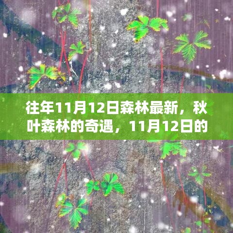 秋日森林奇遇，溫馨記憶中的最新秋葉森林