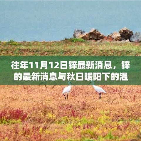 秋日暖陽下的鋅情，最新鋅消息與溫情故事回顧