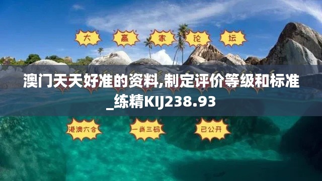 澳門天天好準(zhǔn)的資料,制定評價等級和標(biāo)準(zhǔn)_練精KIJ238.93