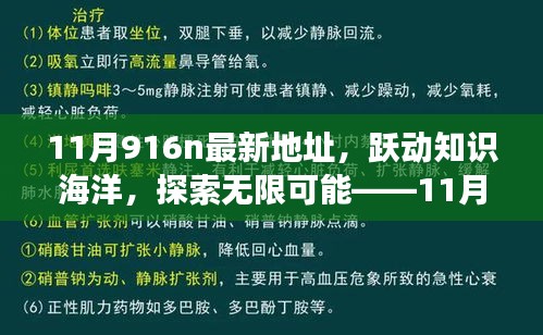 躍動(dòng)知識(shí)海洋，探索無(wú)限可能，揭秘11月916n新地址魔法之旅，學(xué)習(xí)成就自信與成長(zhǎng)